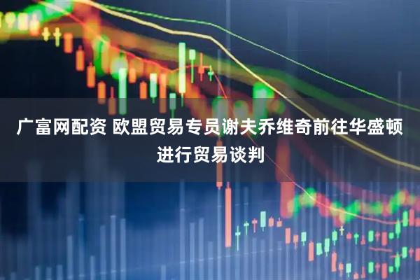 广富网配资 欧盟贸易专员谢夫乔维奇前往华盛顿进行贸易谈判